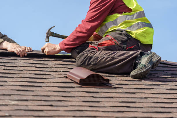 Best Roof Gutter Cleaning  in Difficult Run, VA